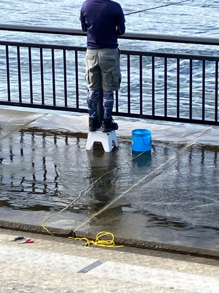 やっと釣れました。