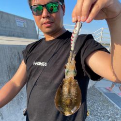 ちょこっとエギング！