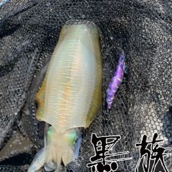 やっと釣れた