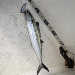 雨予報のマイボート出船