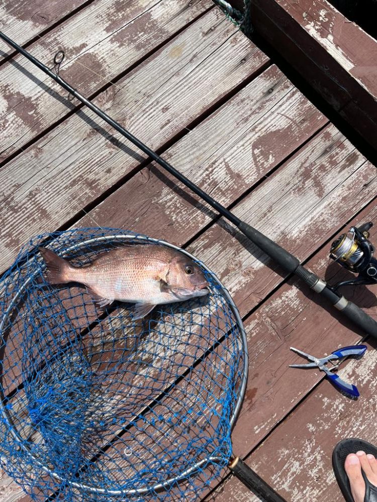 じゃのひれフィッシングパーク