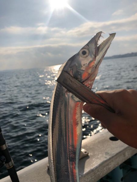 初タチウオ釣り！