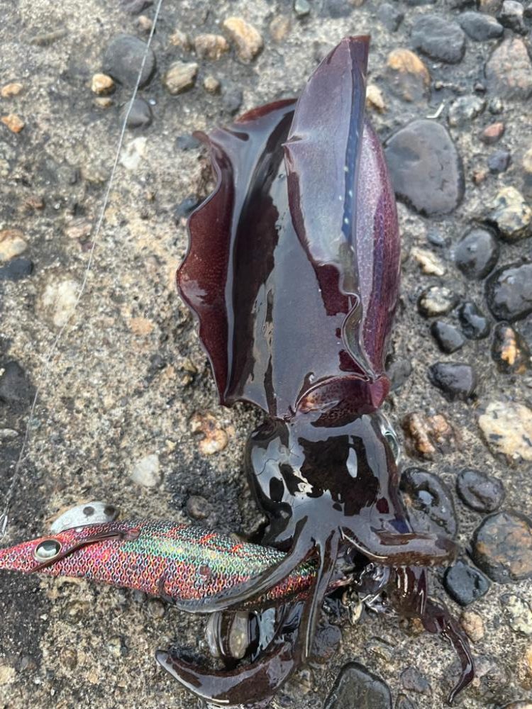 夜勤帰りに寄り道