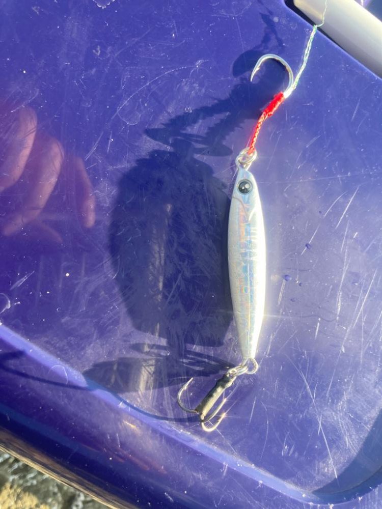 ロックショアでヒラマサ