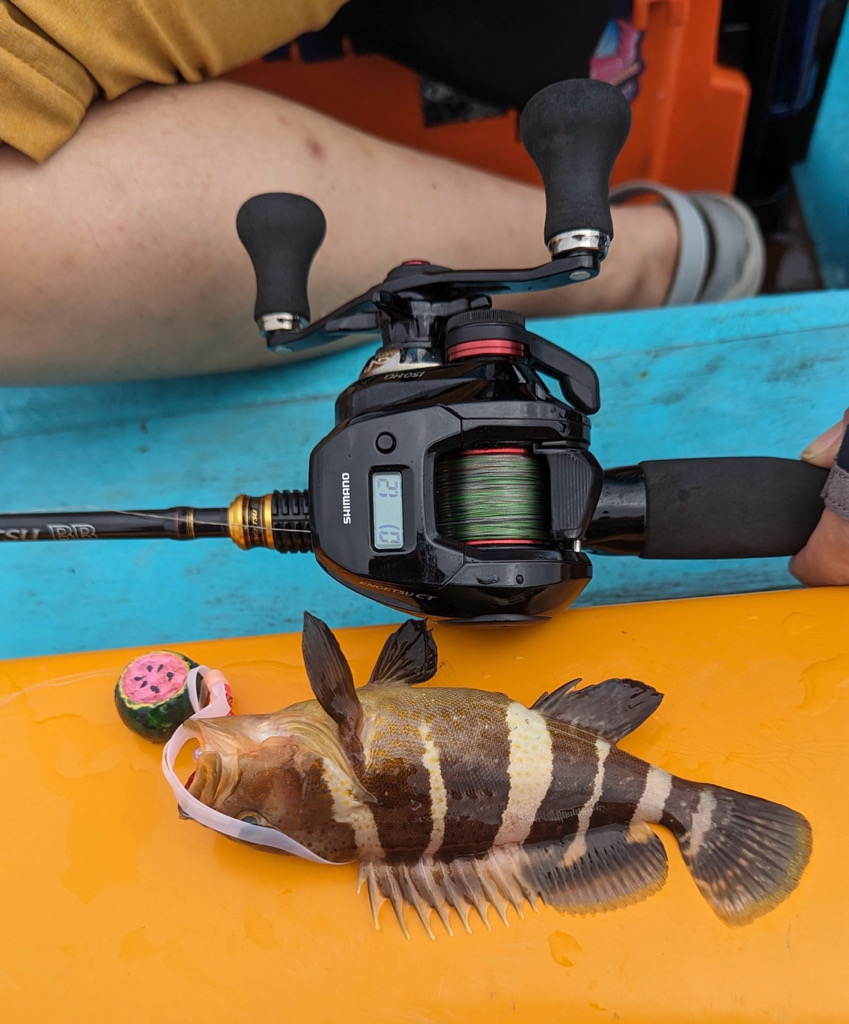 タイラバ　ハタ祭り