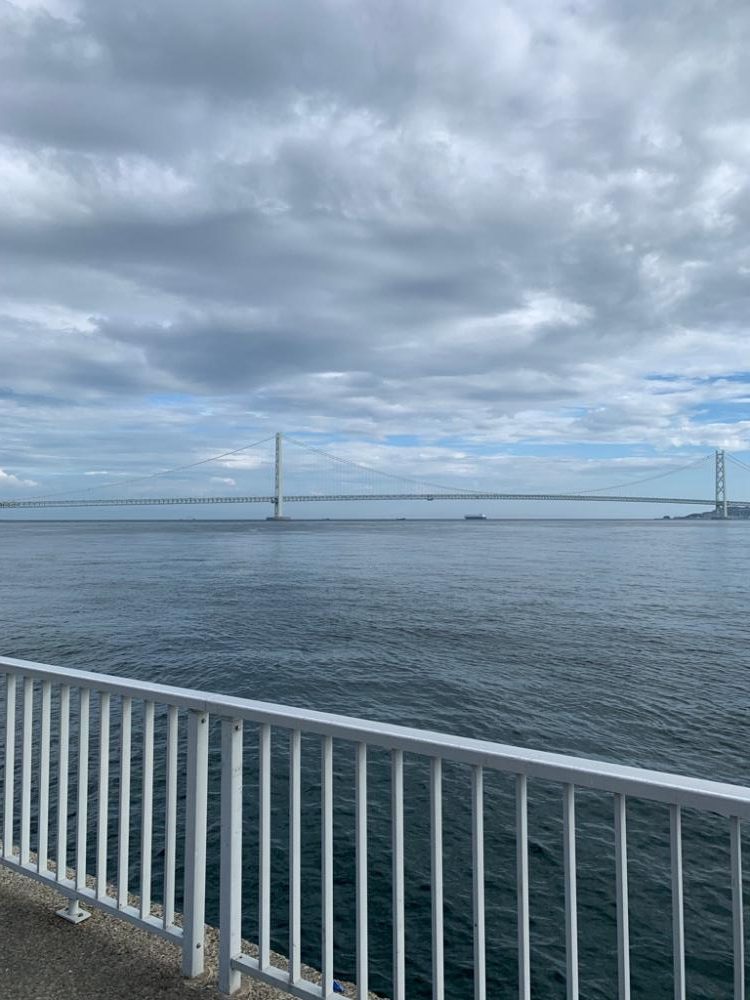 サビキ短時間決戦〜大蔵海岸〜