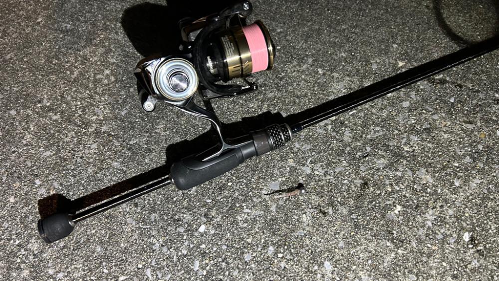 久しぶりの豆アジング