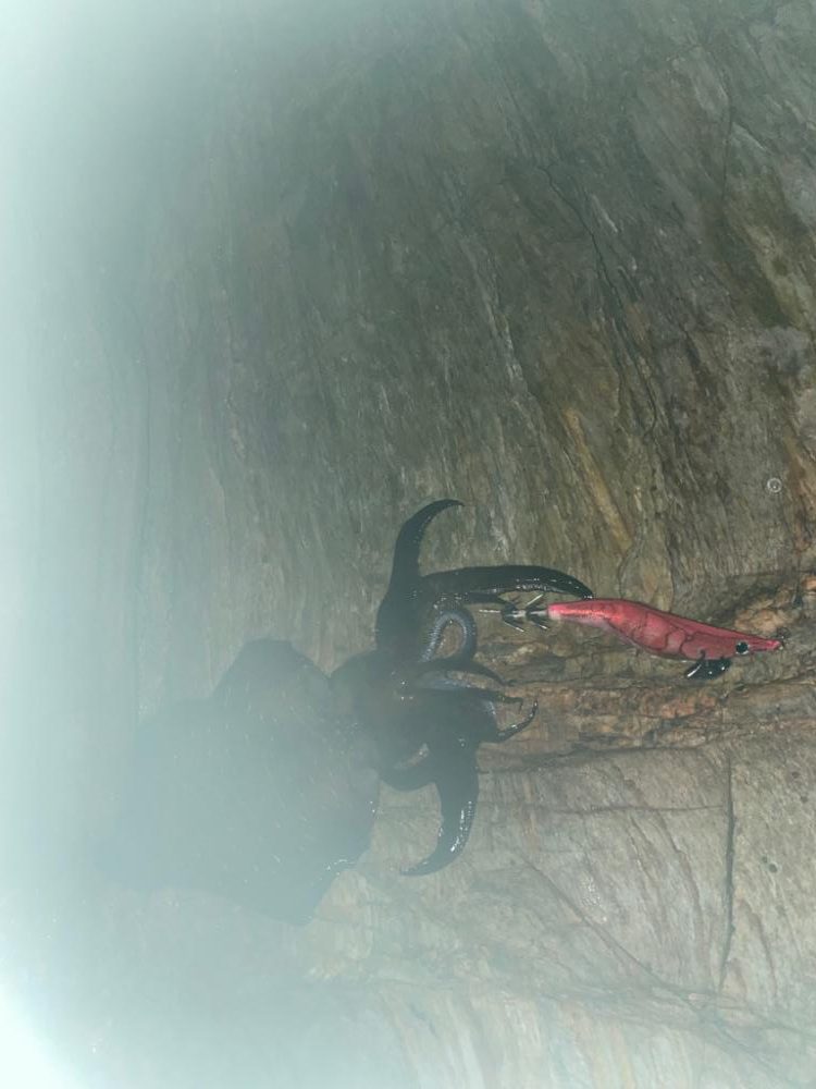 水平移動からの乗せ