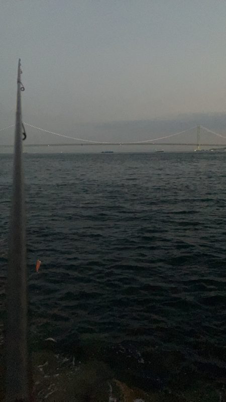 見て見て！意外と釣れました！