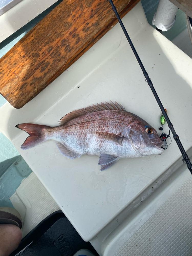 友人のプレジャーボート釣行