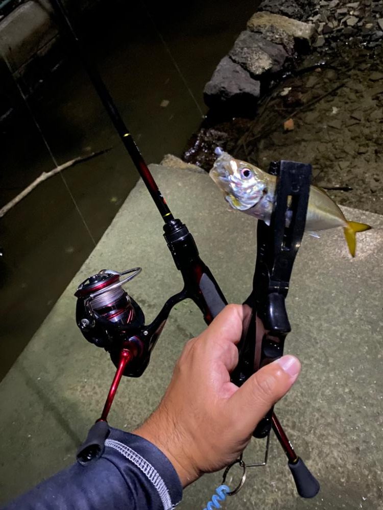 アジング&五目釣り