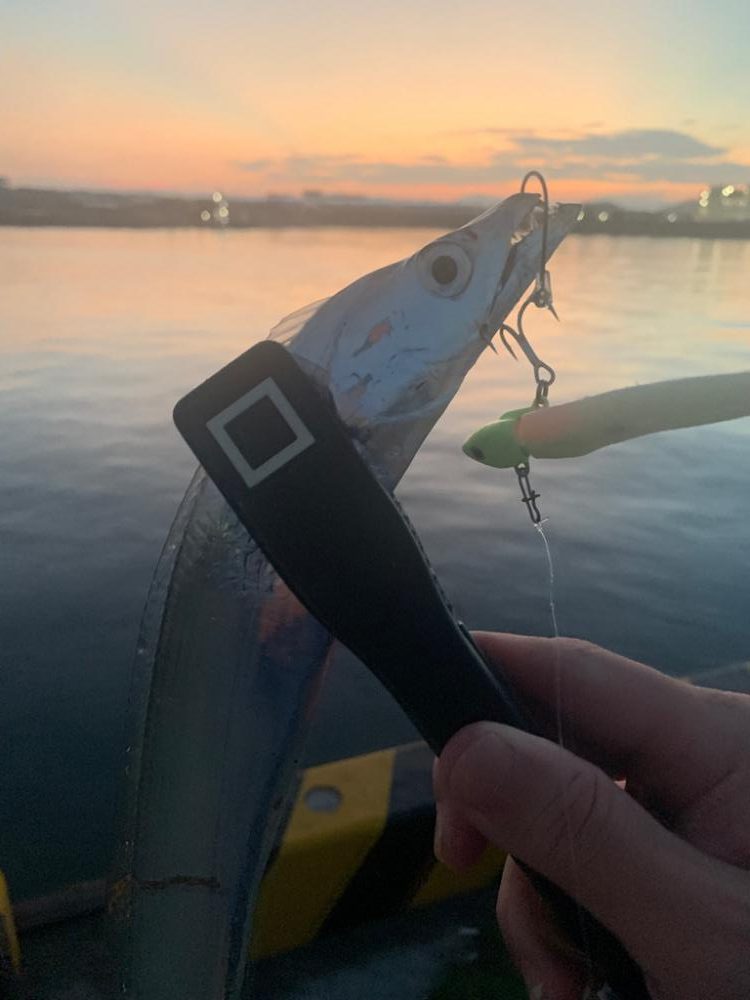 時合いはたったの10分。