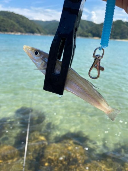 デイゲーム　なんでも釣り