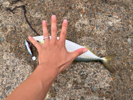 マズメでなくても