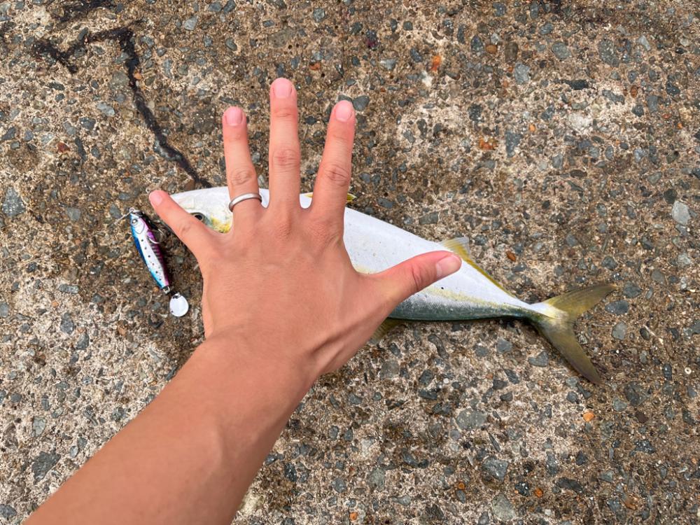 マズメでなくても