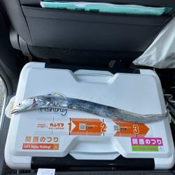 太刀魚釣り