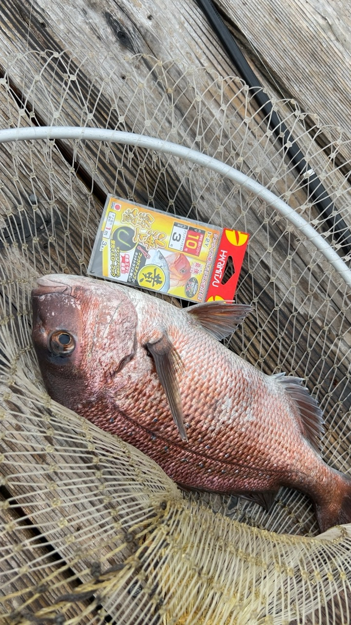 自分は渋かった(T ^ T)