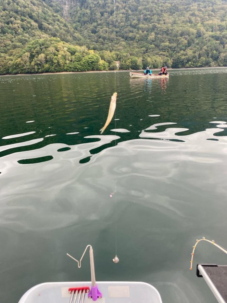 ワカサギ検体採取