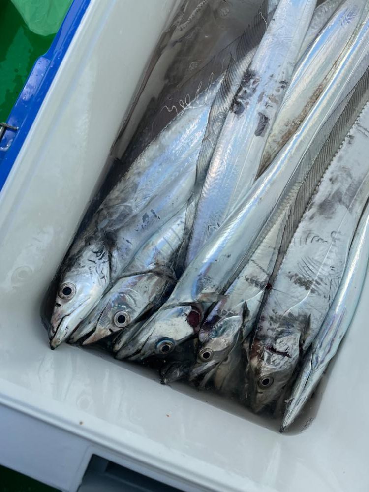 タチウオジギング