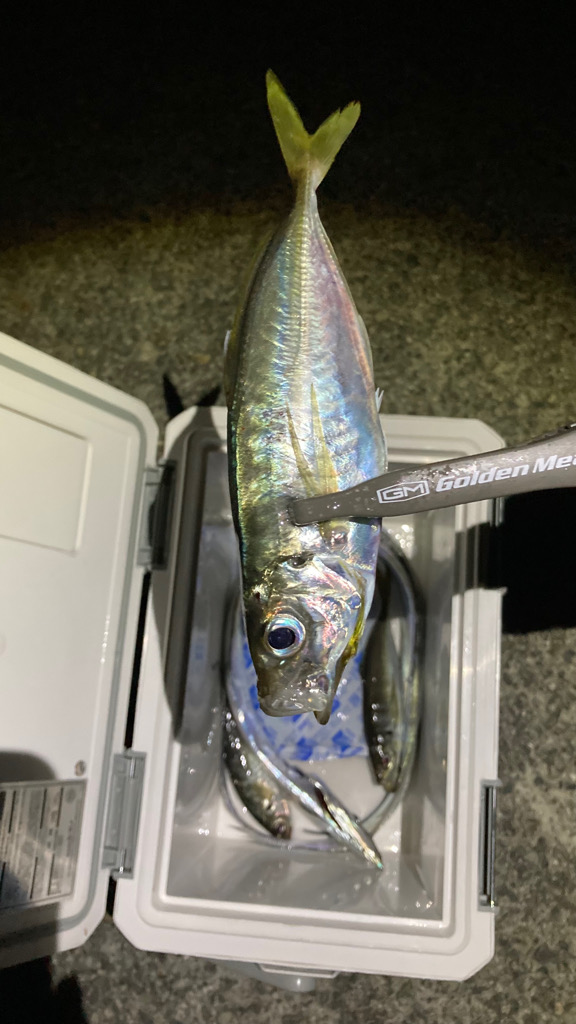 横風でやりにくい_(┐「ε:)_