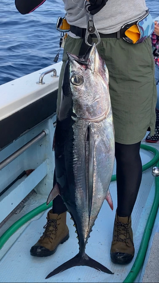 初スロジギでマグロ!?