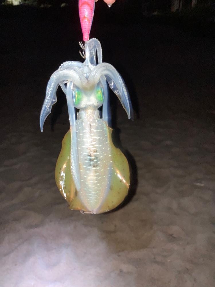 もうそんなに暑く無いかな？