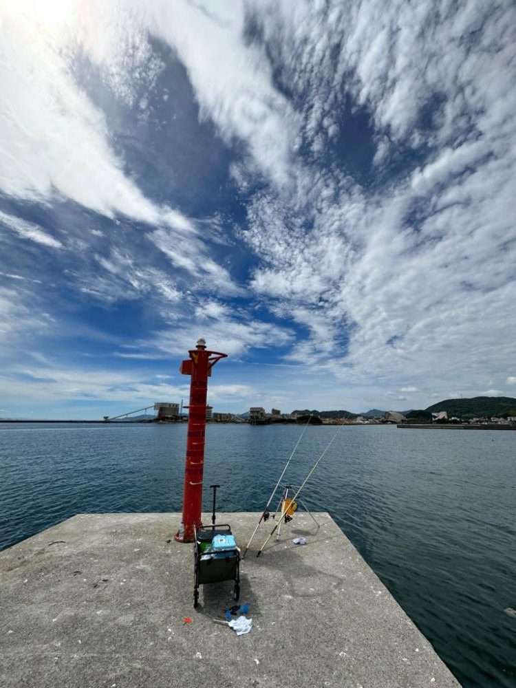 久しぶりの淡路島　津名港バスターミナル裏