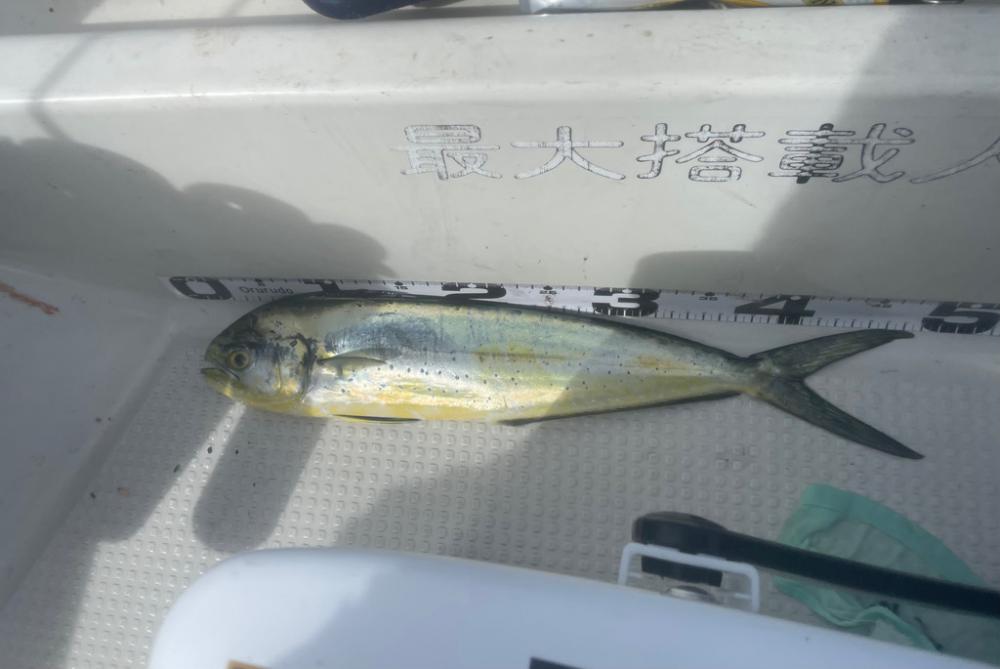 ボートフィッシングにて