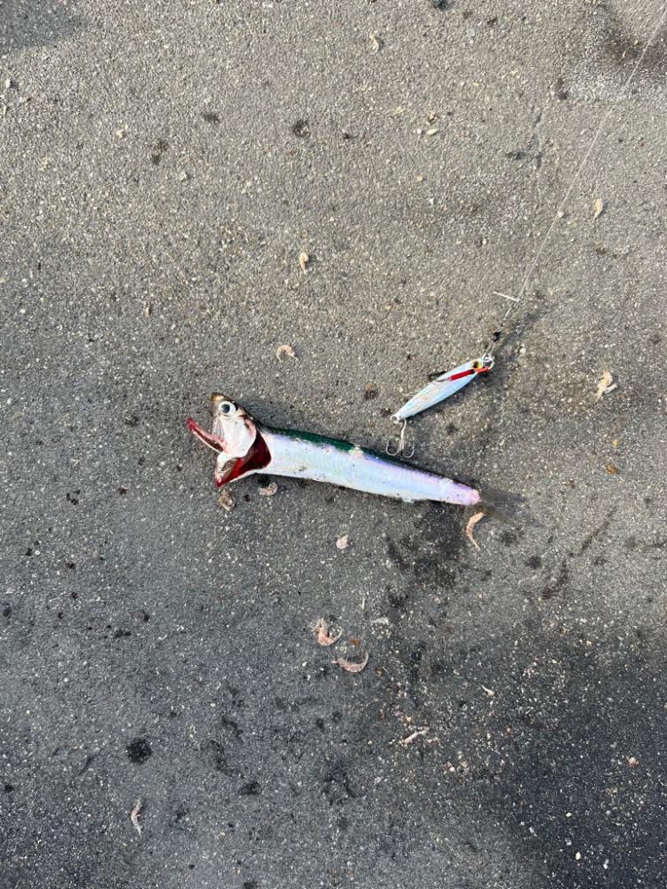 四日市昼間のファミリーフィッシング