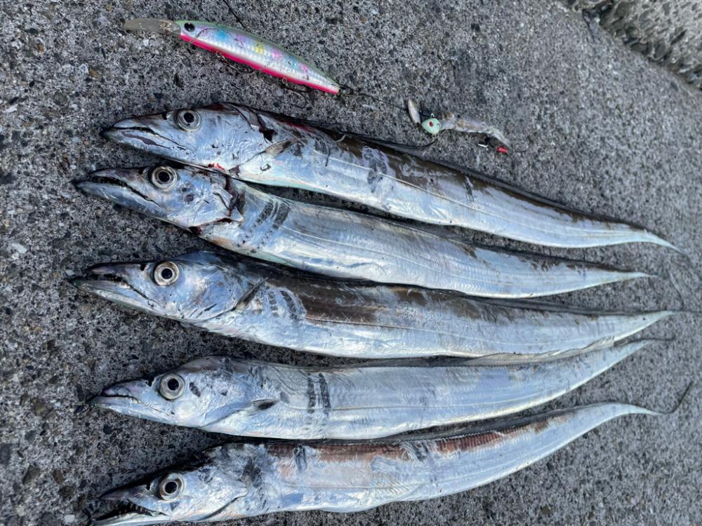 こだわりの結果。