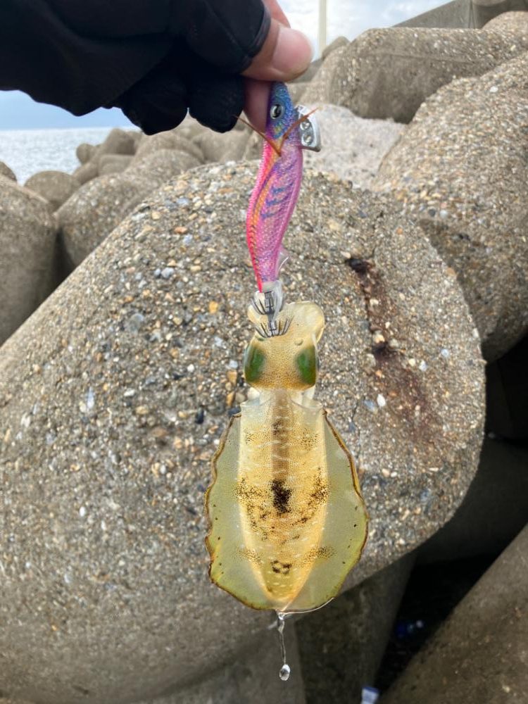 デイエギング(^.^)