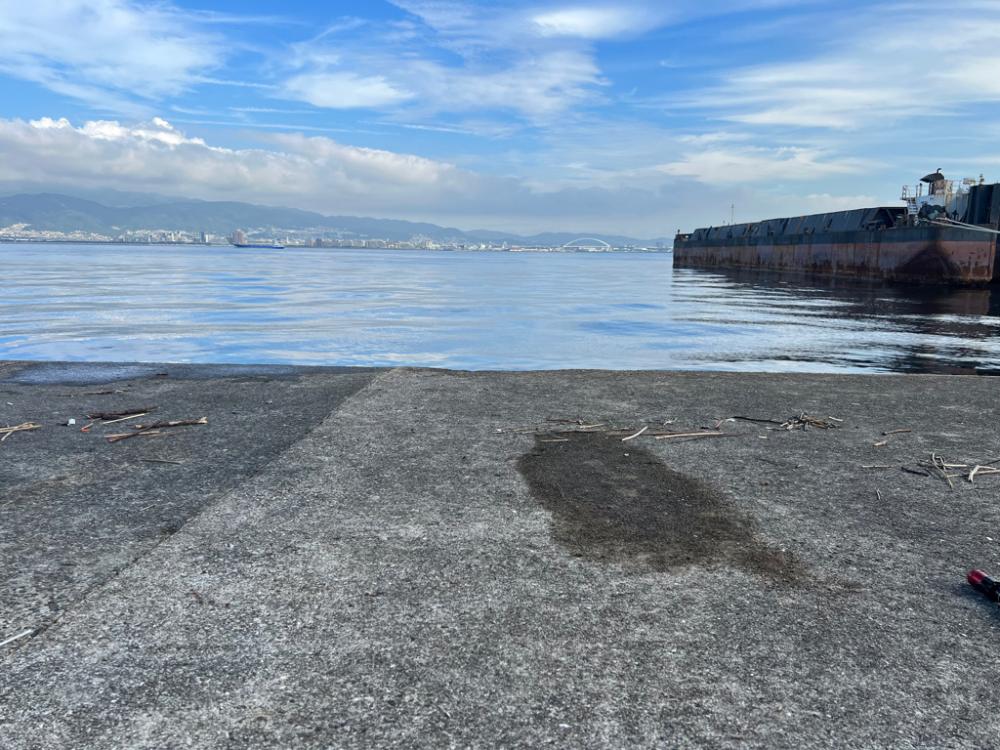 秋の青物祭スタート