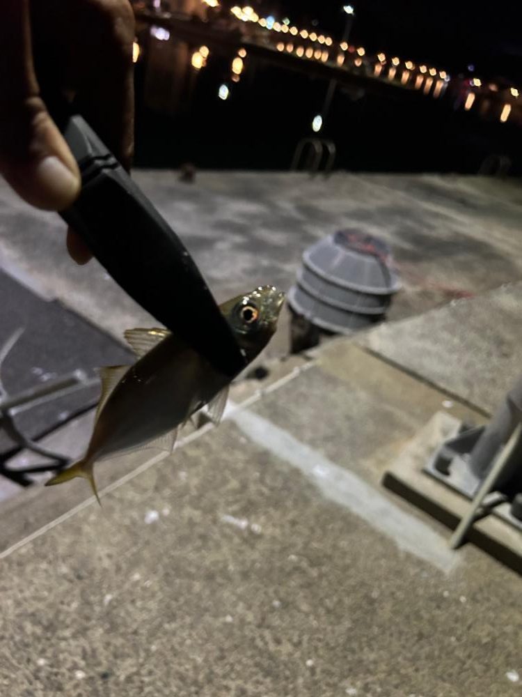 今までやってきたことの集大成