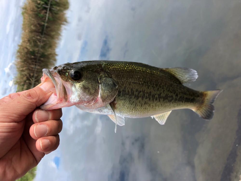 久々の琵琶湖