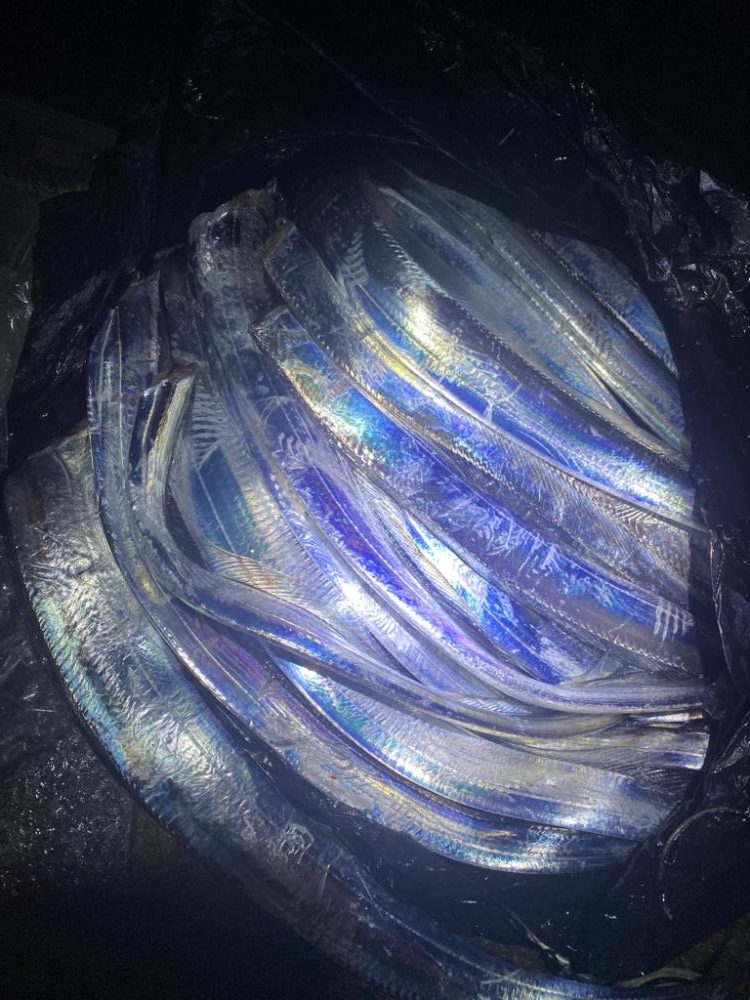 アタリの日でした