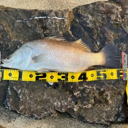 えっぐい引きでした。