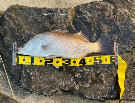 えっぐい引きでした。