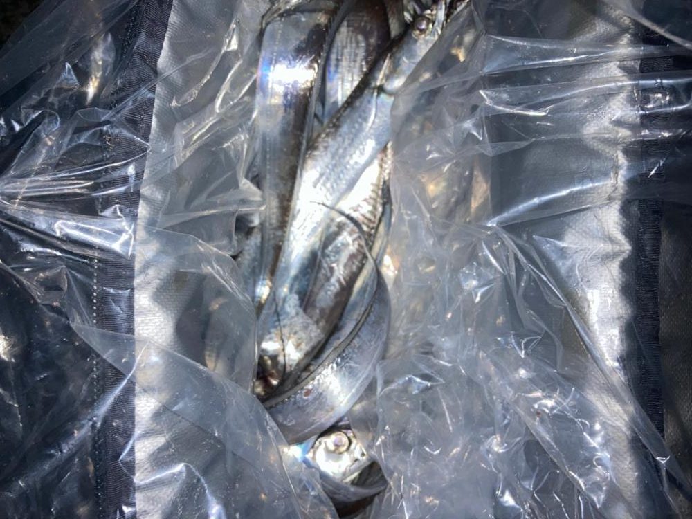 ⭐️手返し重視