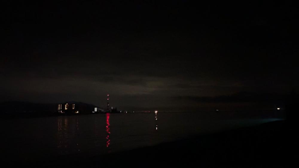 2週間後のタチウオ