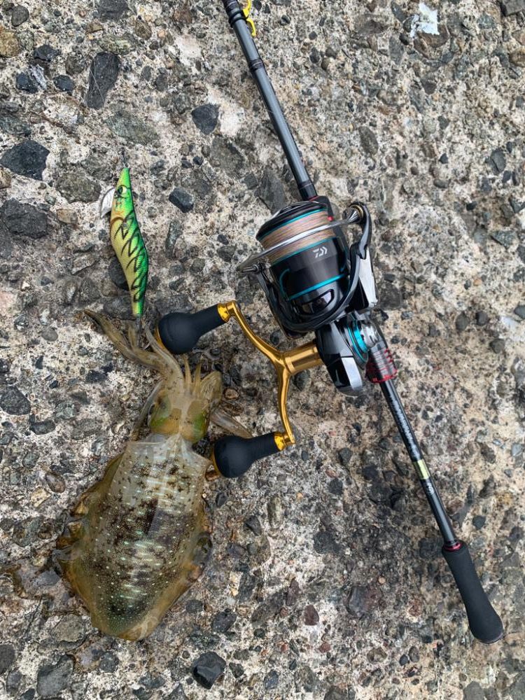 爆風の中のエギング