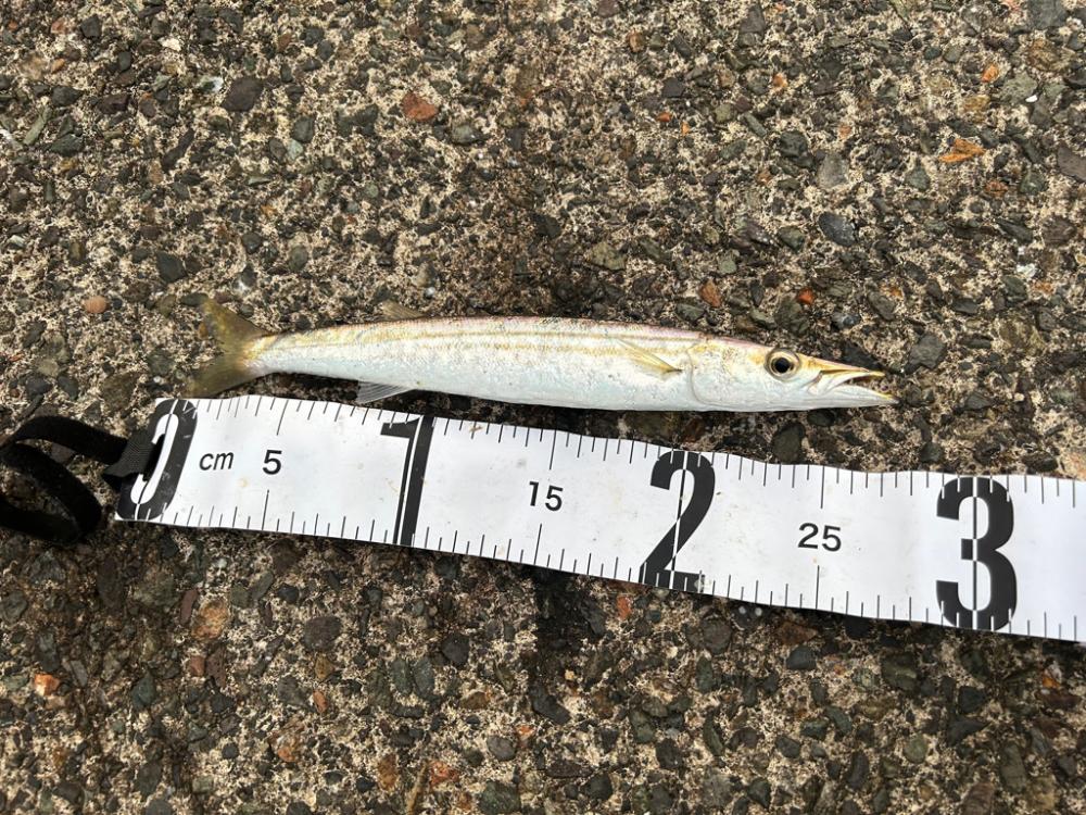 少しずつ秋の気配？