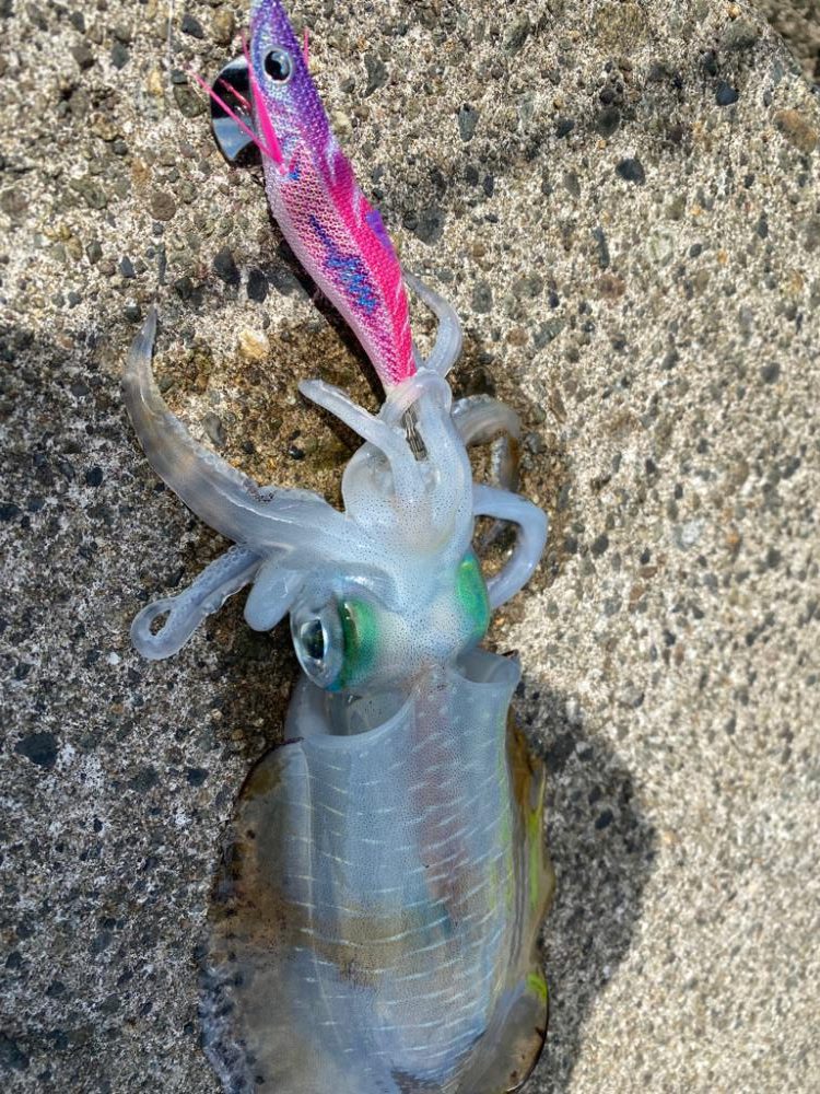 今日は相方とチェックチェック