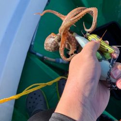 ラストオクトパス