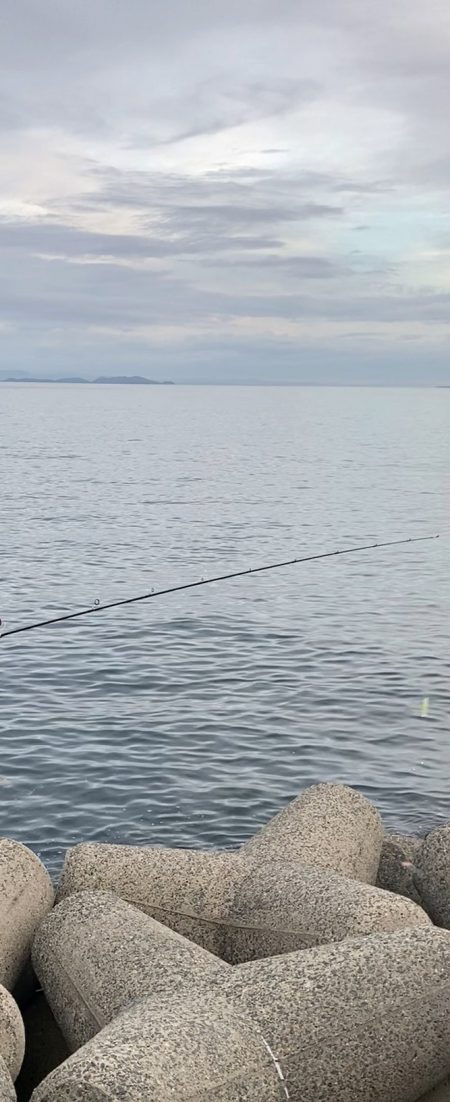 ベイトボールいっぱい( ・∇・)