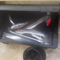 タチウオ開幕戦〜盛和丸〜