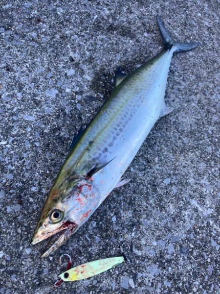 青牙ハットトリックならずマルチ。。