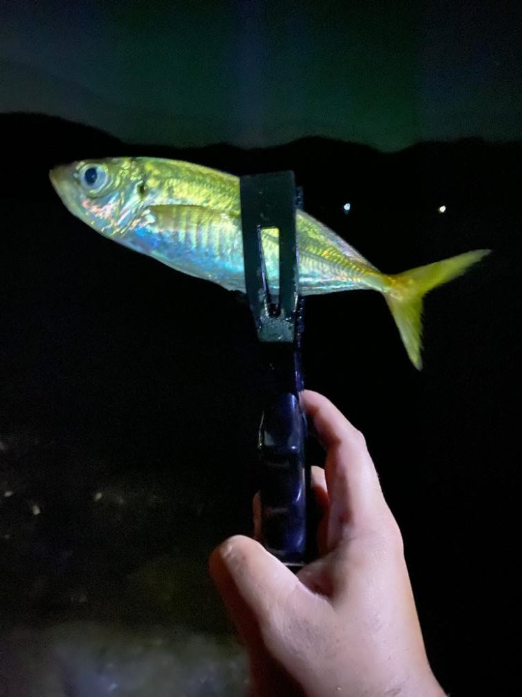 ライトちょい投げキスゲーム