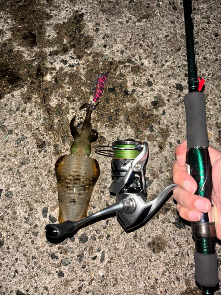 やっとキープサイズが釣れました