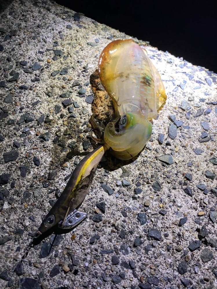 船釣り帰りに寄り道