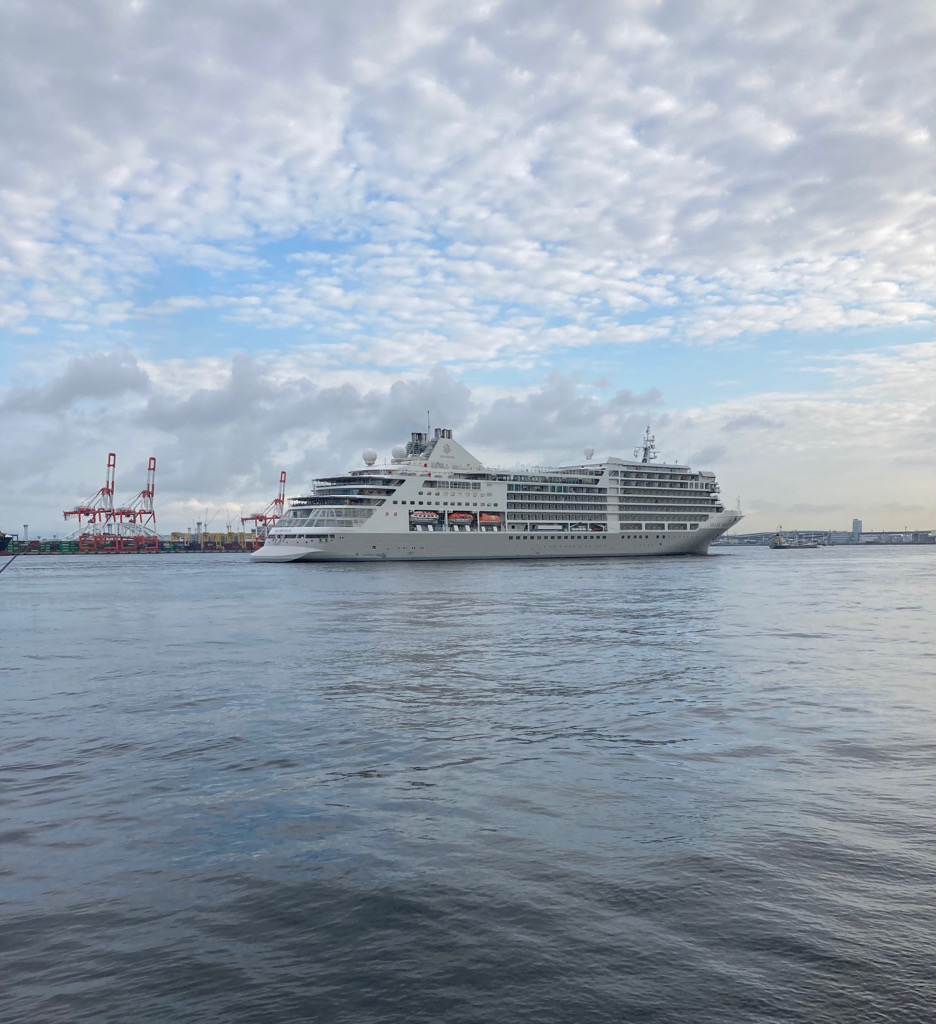 ⭐️やっとこサゴシ